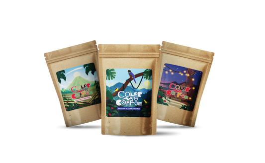 Caribbean Islands Discovery Set